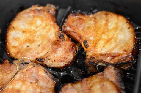 ninja foodi grill juicy grilled pork chops
